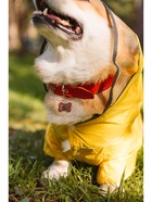 Адресник под гравировку "Косточка" объёмная, фасовка по 6 шт, 3,2 х 2,3 см, микс цветов (6 шт) - фото 809204069