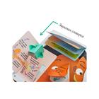 Волшебные створки «Секреты человека» - Фото 4