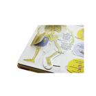 Волшебные створки «Секреты человека» - Фото 5