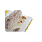 Волшебные створки «Секреты человека» - Фото 6