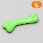 Игрушка жевательная "Косточка классическая", TPR, 12,3 см, микс цветов - Фото 1
