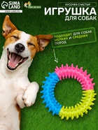 Жевательная игрушка для собак «Кусочек счастья», 9.5 см - Фото 1