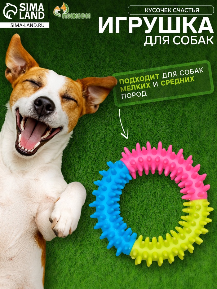 Жевательная игрушка для собак «Кусочек счастья», 9.5 см - Фото 1