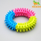 Жевательная игрушка для собак «Кусочек счастья», 9.5 см - Фото 4