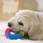 Игрушка жевательная для собак "Кусочек счастья", 9,5 см - Фото 2