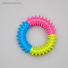 Жевательная игрушка для собак «Кусочек счастья», 9.5 см - Фото 6