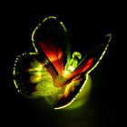 Ночник на липучке "Порхающая бабочка", МИКС - Фото 3
