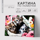 Картина по номерам на холсте с подрамником «Котята», 40 х 50 см 5351081 - фото 2346317