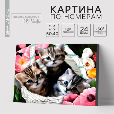 Картина по номерам на холсте с подрамником «Котята» 40 × 50 см