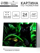 Картина по номерам на холсте с подрамником «Пантера», 40×50 см - Фото 1