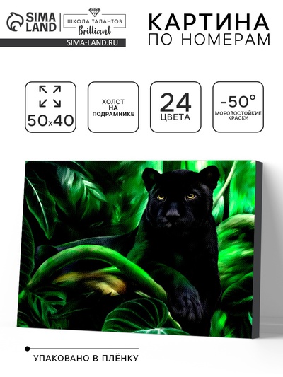 Картина по номерам на холсте с подрамником «Пантера», 40×50 см