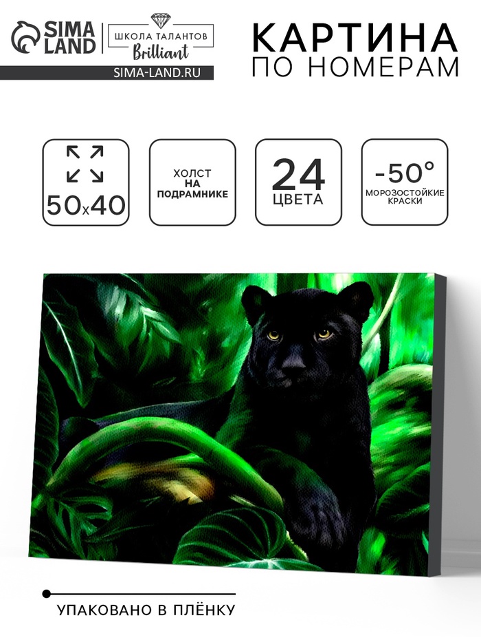 Картина по номерам на холсте с подрамником «Пантера», 40×50 см - Фото 1