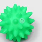 Игрушка пищащая "Мяч с шипами" для собак, 6,5 см, зелёная - Фото 2