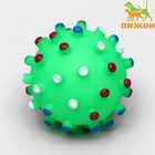 Игрушка пищащая "Бактерия" для собак, 6,3 см, зелёная - фото 9169704