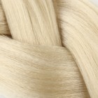 ZUMBA Канекалон однотонный, гофрированный, 60 см, 100 гр, цвет блонд(#AY11) - Фото 6