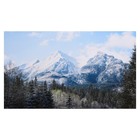 Картина на холсте "Горы в лесу" 60х100 см - фото 318459459