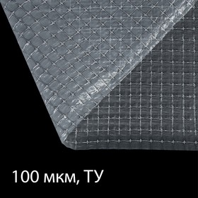 Плёнка полиэтиленовая, армированная леской, толщина 100 мкм, 2 × 25 м, УФ