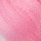 ZUMBA Канекалон однотонный, гофрированный, 60 см, 100 гр, цвет нежно-розовый(#AY16) - фото 9066530
