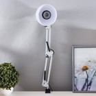 Лампа настольная Е27, h=55 см, шарнирная, на зажиме (220 В) белая RISALUX - Фото 4