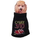 Пуховик S "Сущее зло" (ДС 26 см, ОГ 40 см, ОШ30 см) - Фото 1