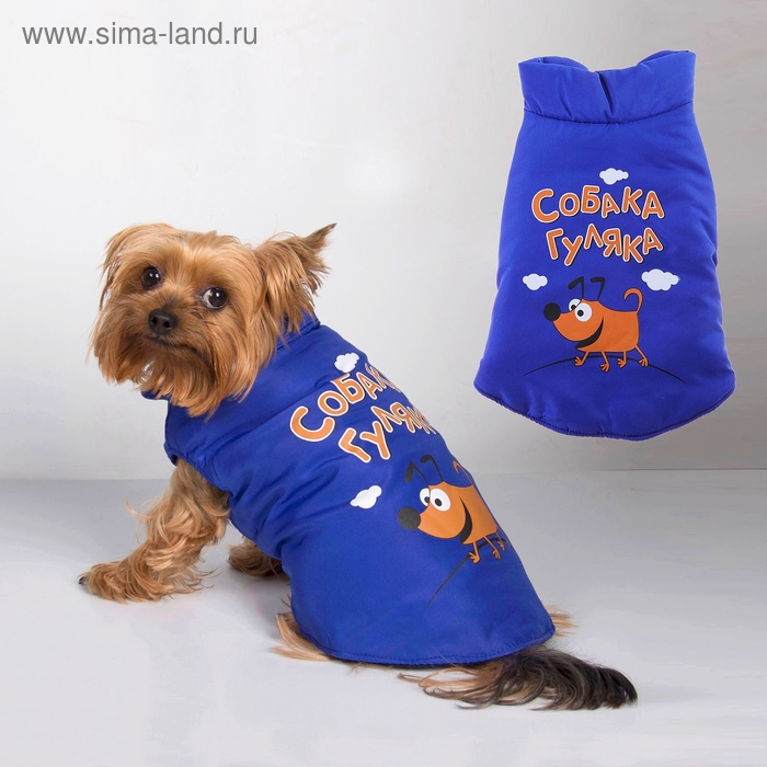 Пуховик M "Собака гуляка" (ДС 30 см, ОГ 40 см, ОШ32 см) - Фото 1