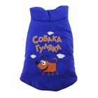 Пуховик M "Собака гуляка" (ДС 30 см, ОГ 40 см, ОШ32 см) - Фото 3