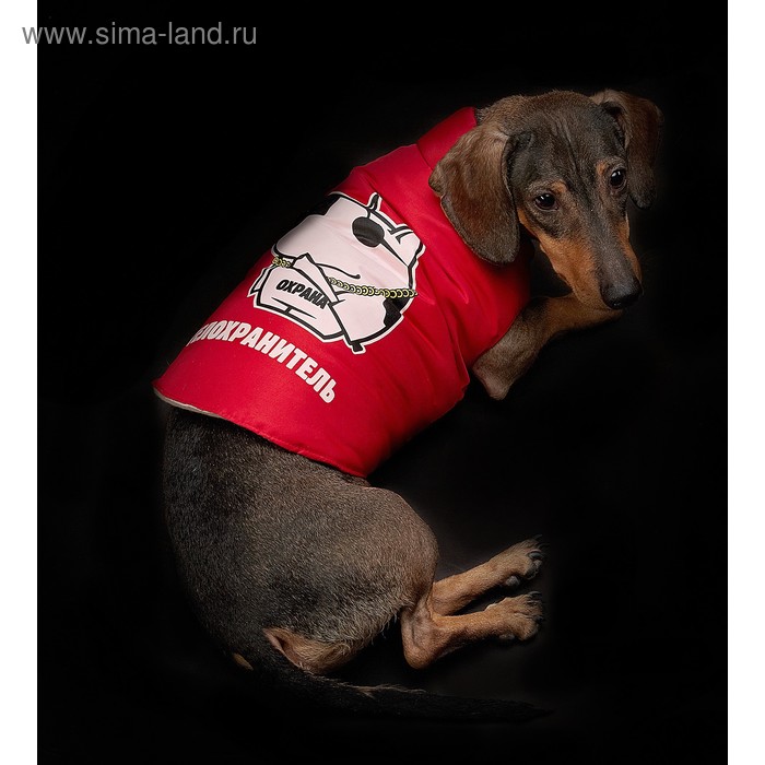 Пуховик M "Телохранитель" (ДС 30 см, ОГ 40 см, ОШ32 см) - Фото 1