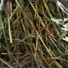 Сено луговое «Пижон» для грызунов, 20 л, 500 г 5116417