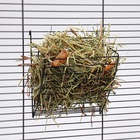 Сено луговое с фруктами «Пижон» для грызунов, 20 л, 500 г 5116419