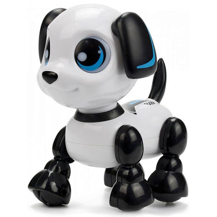 Как выглядит робот собака Как выглядит робот собака