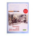 Бумага для рисования А3, 20 листов "Профессиональная серия", блок 150 г/м2, ГОЗНАК, МИКС - Фото 5