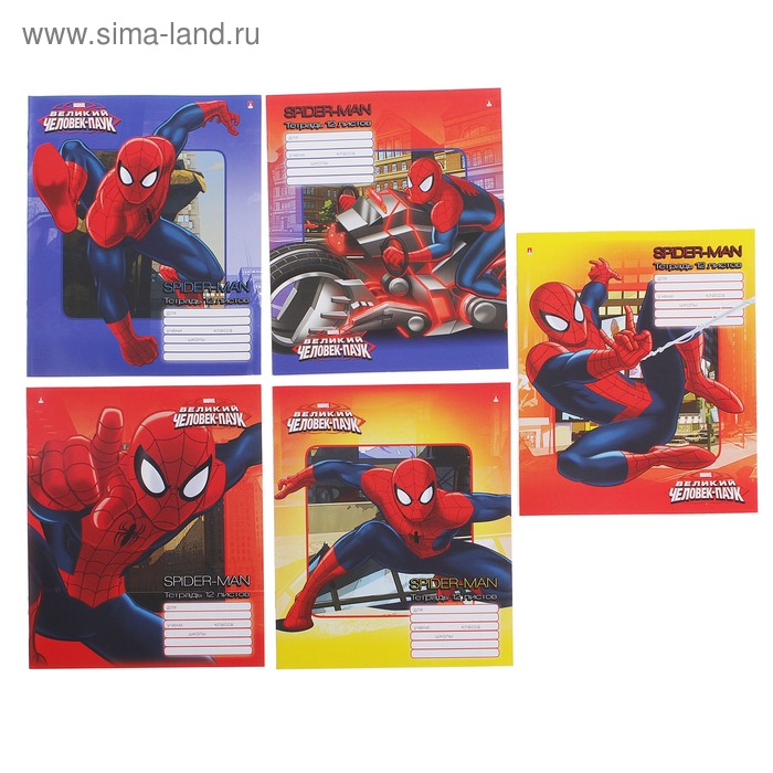 Тетрадь 12 листов клетка Marvel "Человек-паук", бумажная обложка, 5 видов МИКС - Фото 1