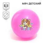 Мяч детский Paw Patrol «Happy», 16 см, 50 г, цвета МИКС 5083415 - фото 7501056