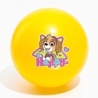 Мяч детский Paw Patrol «Happy», 16 см, 50 г, цвета МИКС - Фото 4