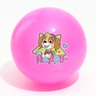 Мяч детский Paw Patrol «Happy», 16 см, 50 г, цвета МИКС - фото 9728812