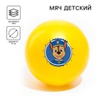 Мяч детский Paw Patrol «Гончик», 16 см, 50 г, цвета МИКС - фото 631508