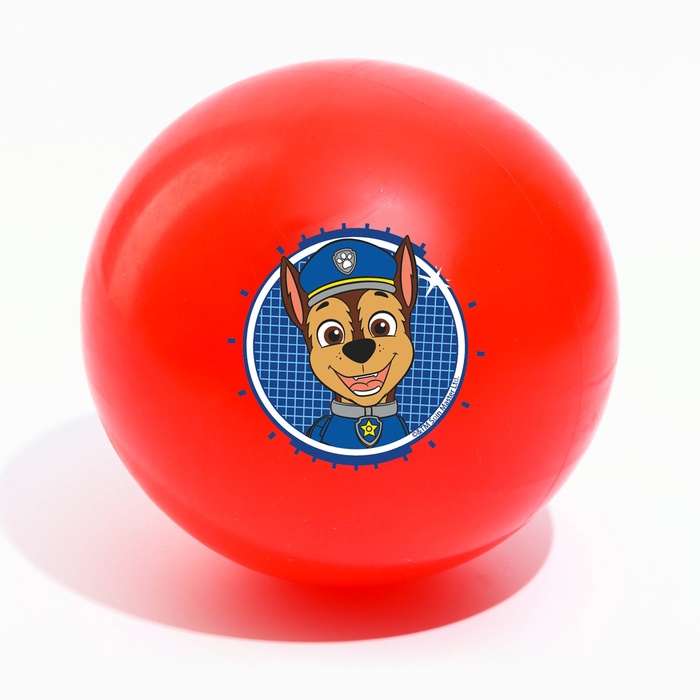 Мяч детский Paw Patrol «Гончик», 16 см, 50 г, цвета МИКС - Фото 1