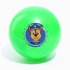 Мяч детский Paw Patrol «Гончик», 16 см, 50 г, цвета МИКС - фото 6380695