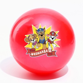 Мяч детский, Paw Patrol Команда, диаметр 16 см, 50 г., цвета МИКС