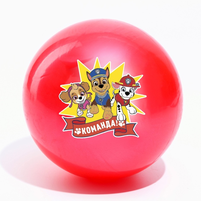 Мяч детский, Paw Patrol Команда, диаметр 16 см, 50 г., цвета МИКС - фото 1905742446