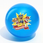 Мяч детский, Paw Patrol Команда, диаметр 16 см, 50 г., цвета МИКС - фото 108475323