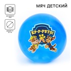 Мяч детский Paw Patrol «Кр-р-руто» 22 см, 60 г, цвета МИКС - фото 24312239