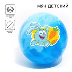 Мяч детский Смешарики «Крош», 22 см, 60 г, мрамор, МИКС - фото 6060371