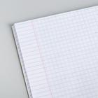 Тетрадь в клетку 48 л., картонная обложка «Лучшие друзья», Гравити Фолз - Фото 2