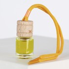 Ароматизатор в автомобиль «23 февраля», аромат: цитрус - Фото 3