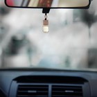 Ароматизатор в автомобиль «23 февраля», аромат: цитрус - Фото 5