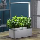 Гидропонная установка с фитолампой , HobbyFarm Mini - Фото 3