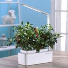 Гидропонная установка с фитолампой , HobbyFarm Mini - Фото 4