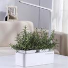 Гидропонная установка с фитолампой , HobbyFarm Mini - Фото 5