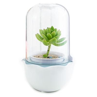 Гидропонная установка, для суккулентов и мхов, HobbyFarm